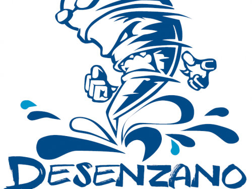Desenzano Nuota 2017